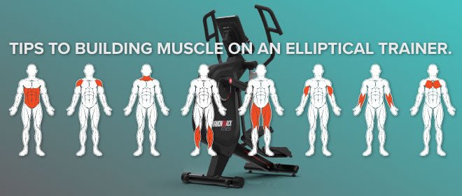 Can Elliptical Build Muscle