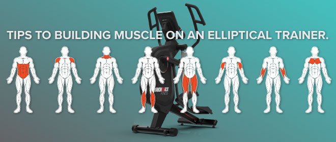What Areas Does the Elliptical Target