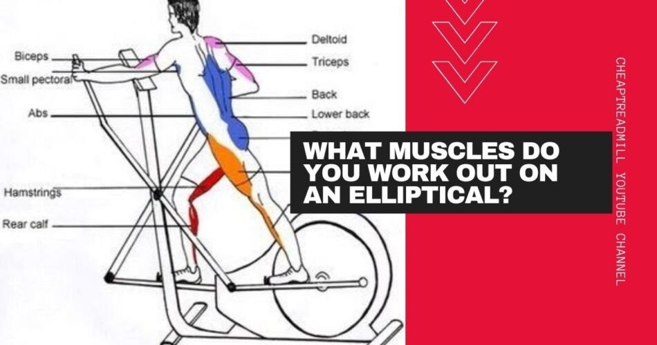 What Does the Elliptical Work Out