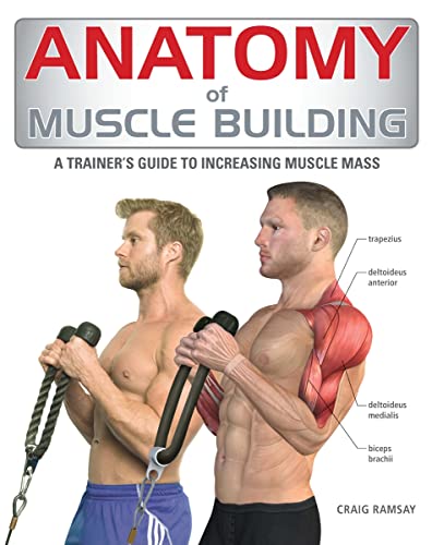 Anatomy of Muscle Building: A Trainer's Guide to Increasing...
