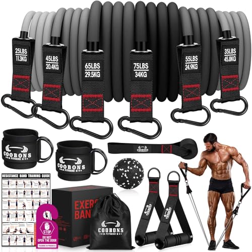 Heavy Resistance Bands for Working Out, 300LBS Exercise...