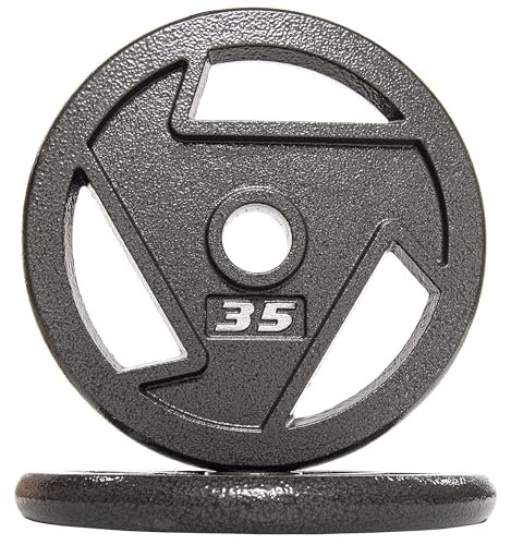 Fitvids Cast Iron 1-Inch Standard Weight Plate for Strength...