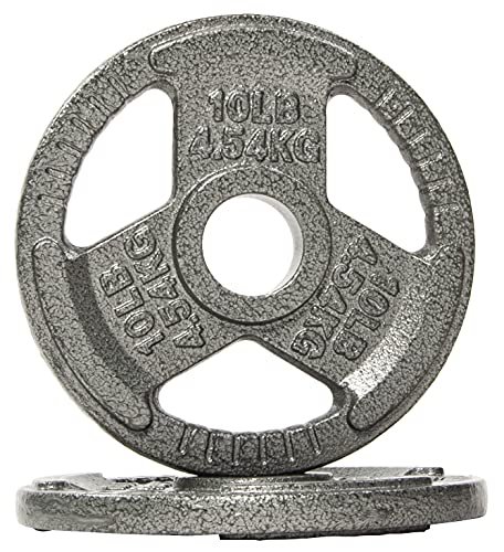 Fitvids Cast Iron Plate Weight Plate for Strength Training...