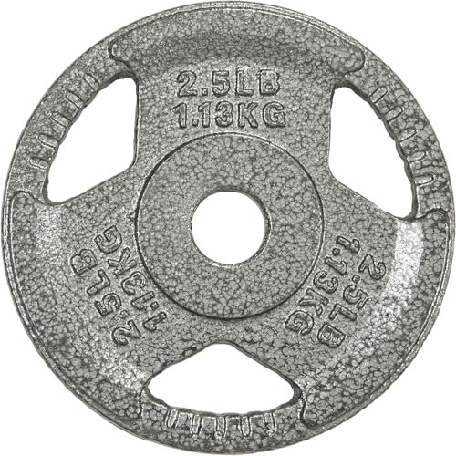 HulkFit 1-inch Iron Plate for Strength Training,...