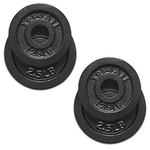 Yes4All Standard 1.15-inch Cast Iron Weight Plates - 1.25...