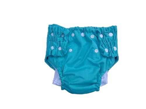 Night Time Washable Cloth Pull Up Diapers for Toddlers...