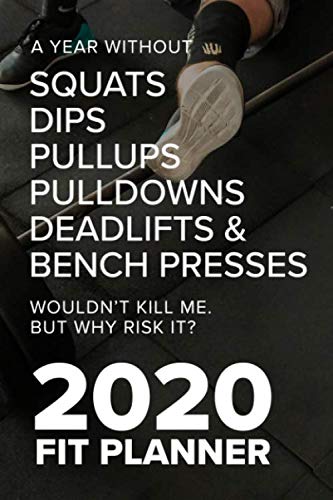 A Year Without Squats Dips Pullups Pulldowns Deadlifts &...