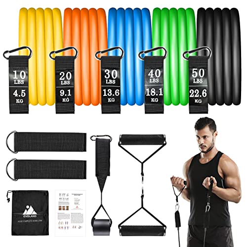 Resistance Bands Set (12pcs), Workout Bands with Handles,...