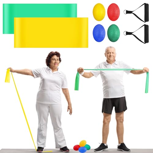 Gemscream 8 Pcs Chair Exercise Program Set Included Senior...