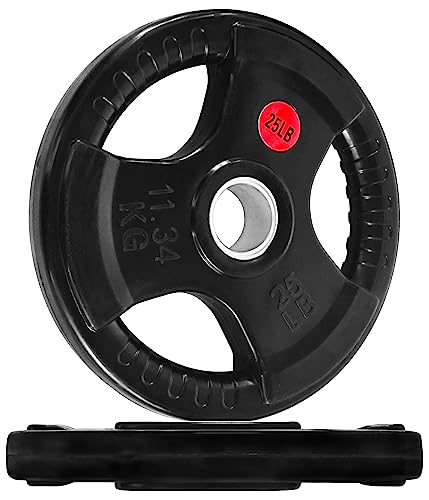 Fitvids Olympic 2-Inch Cast Iron Plate Weight Plate for...