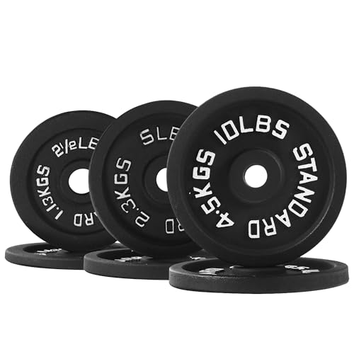 【Pro-Style Set】Cast Iron Weight Plate Bundle | 6 Plates:...