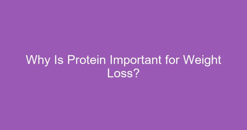 Why Is Protein Important for Weight Loss?