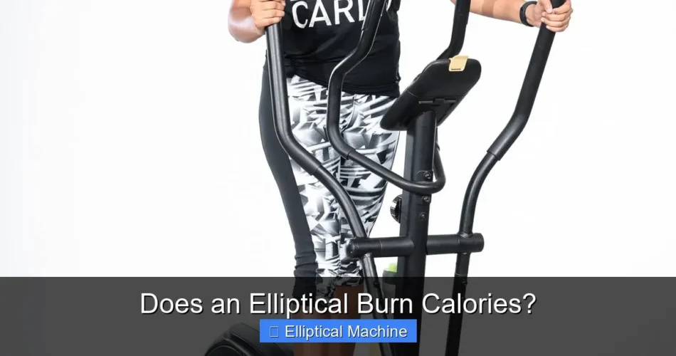 Does an Elliptical Burn Calories?