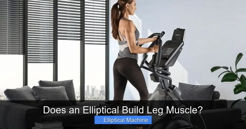 Does an Elliptical Build Leg Muscle?