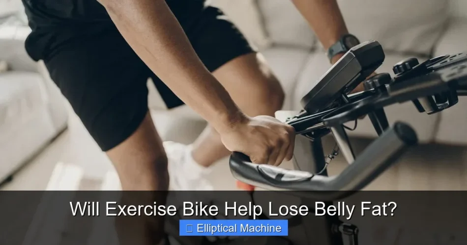 Will Exercise Bike Help Lose Belly Fat?