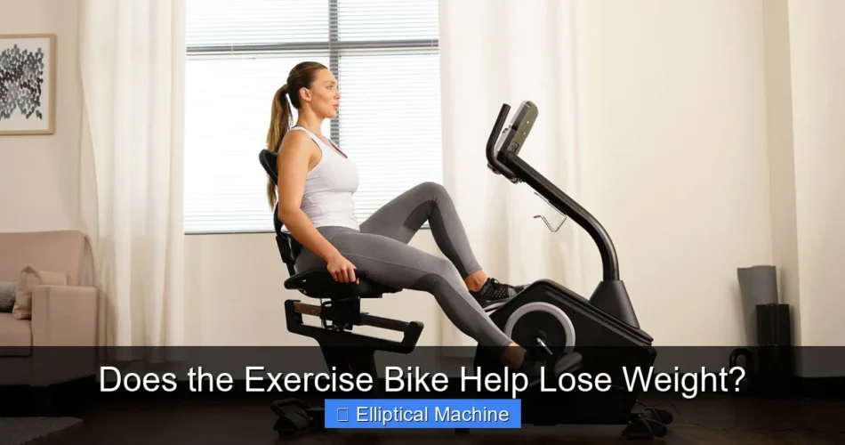 Does the Exercise Bike Help Lose Weight?