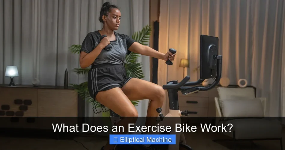 What Does an Exercise Bike Work?