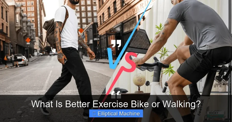 What Is Better Exercise Bike or Walking?