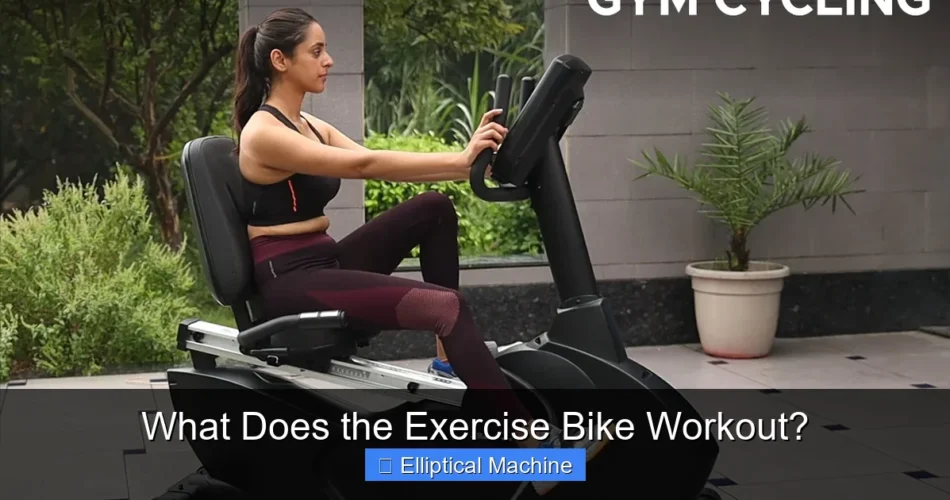 What Does the Exercise Bike Workout?