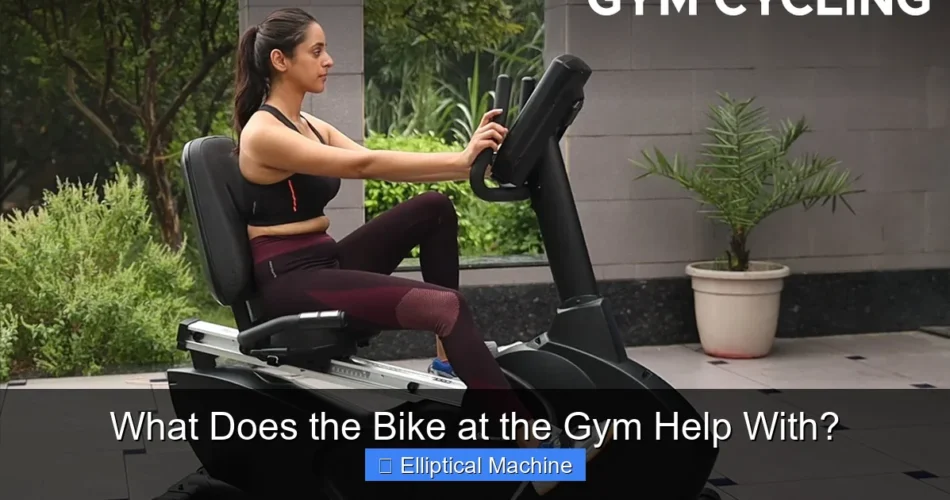 What Does the Bike at the Gym Help With?