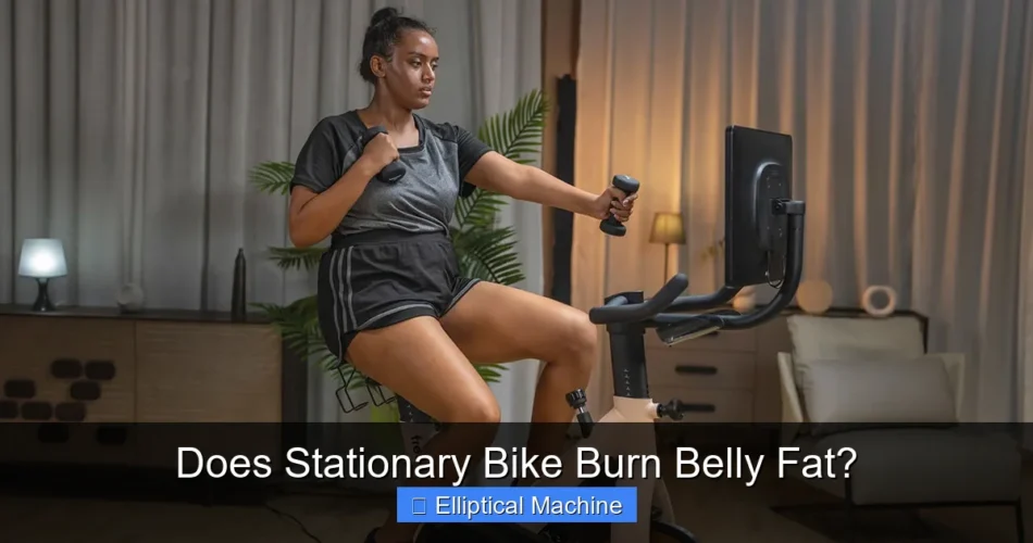 Does Stationary Bike Burn Belly Fat?