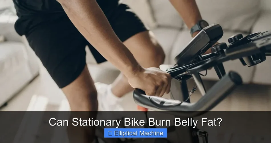 Can Stationary Bike Burn Belly Fat?