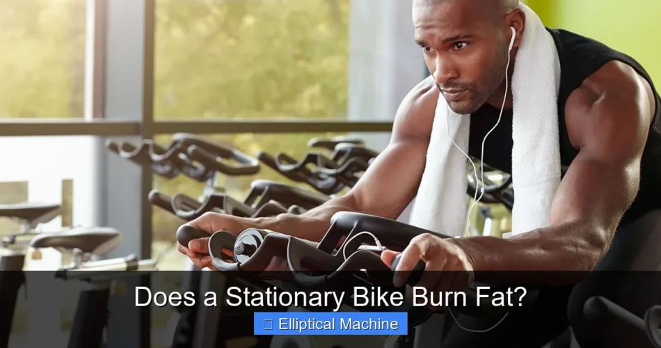 Does a Stationary Bike Burn Fat?